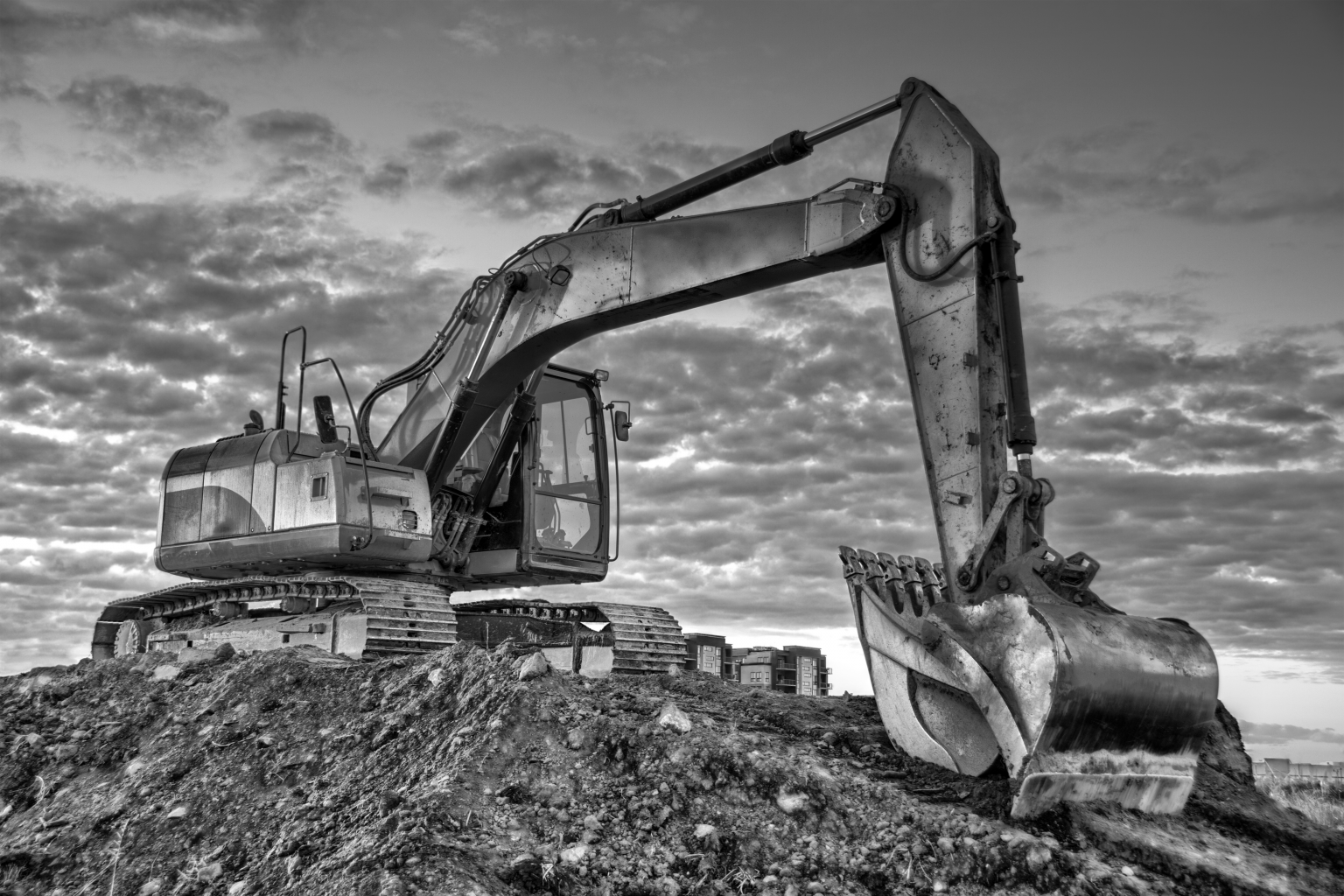 Excavator BW